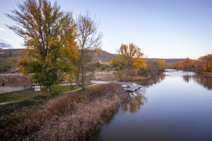 Otoño engrandece Soria con magníficos colores