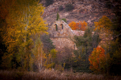 Otoño engrandece Soria con magníficos colores