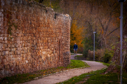 Otoño engrandece Soria con magníficos colores