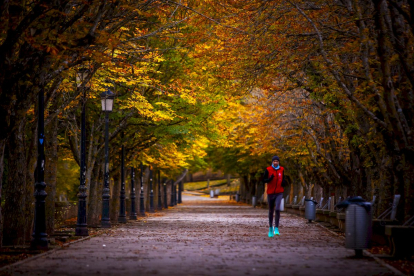 Otoño engrandece Soria con magníficos colores