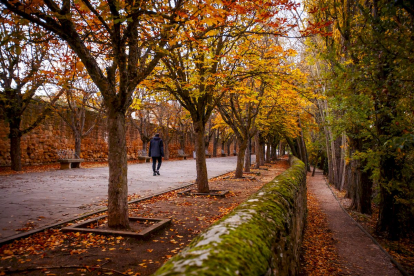 Otoño engrandece Soria con magníficos colores