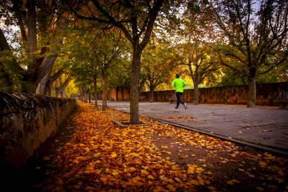 Otoño engrandece Soria con magníficos colores