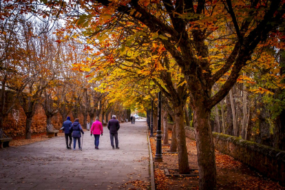 Otoño engrandece Soria con magníficos colores