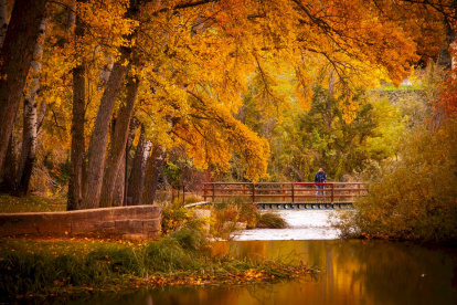 Otoño engrandece Soria con magníficos colores