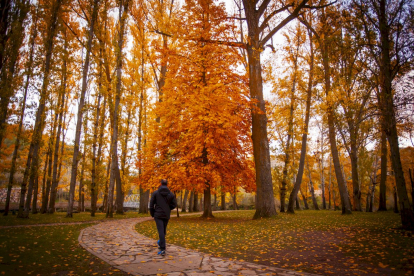 Otoño engrandece Soria con magníficos colores