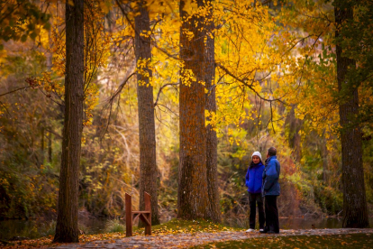 Otoño engrandece Soria con magníficos colores