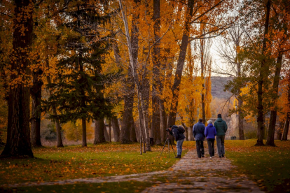 Otoño engrandece Soria con magníficos colores