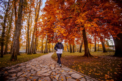 Otoño engrandece Soria con magníficos colores