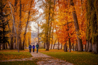 Otoño engrandece Soria con magníficos colores