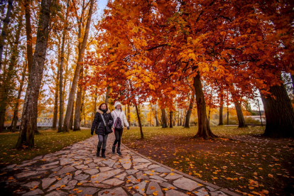 Otoño engrandece Soria con magníficos colores