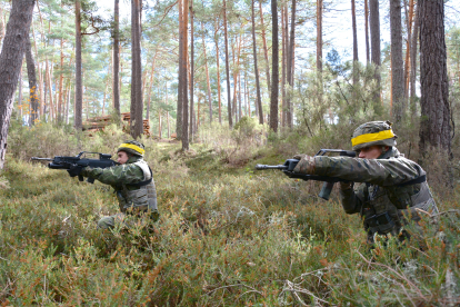 Maniobras militares en el bosque de Navaleno.