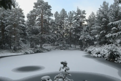 Nieve y ambiente gélido en Urbión.