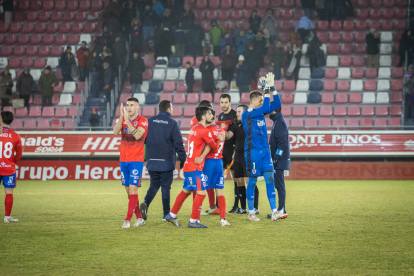 En Numancia celebra el 25 aniversario de Los Pajaritos con una victoria ante la Segoviana.