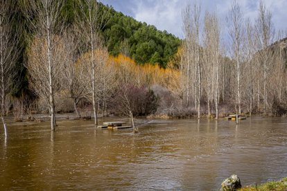 Las aguas se salen de su cauce en la zona del Cañón del río Lobos