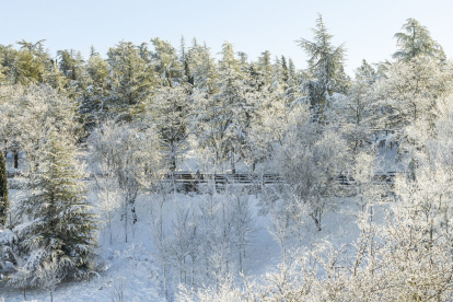 Dos días después, la nieve y el hielo siguen presentes en las calles