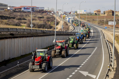 La protesta del campo moviliza 800 agricultores