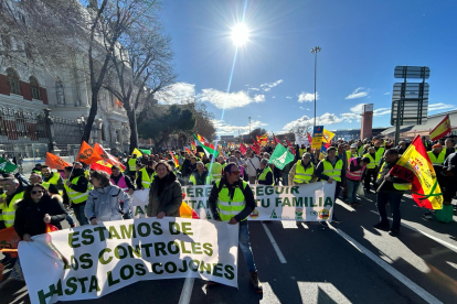 Numerosos agricultores sorianos se han desplazado a la manifestación de Madrid.
