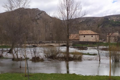 La crecida del río Ucero ha hecho que se desbordase una vez más en la zona de El Burgo y Osma.