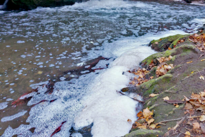 Imagen de archivo de los vertidos en el río Val.