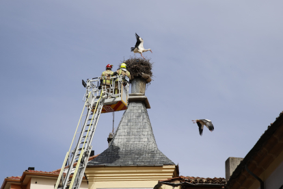 Los bomberos de Soria trabajan en el nido de las cigüeñas del Palacio de Alcántara.