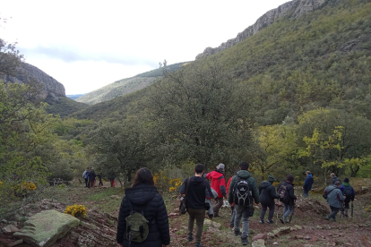 Participantes en la jornada en torno al bosque sagrado de la Celtiberia organizada en Beratón.