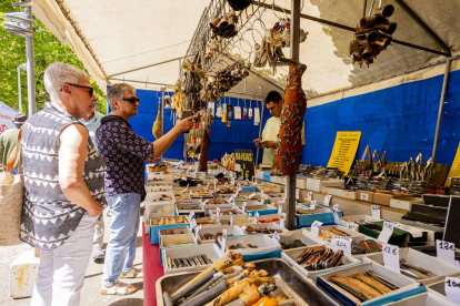 El recinto de la Arboleda abre sus puertas para acoger a miles de visitantes