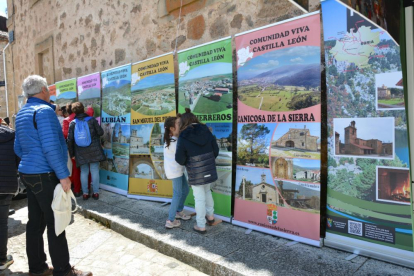 Molinos de Duero acoge a visitantes de pueblos de las otras ocho provincias de Castilla y León en un día de celebración y exaltación de los vínculos autonómicos.