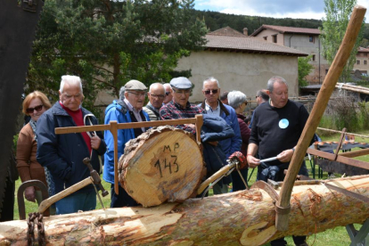 Molinos de Duero acoge a visitantes de pueblos de las otras ocho provincias de Castilla y León en un día de celebración y exaltación de los vínculos autonómicos.