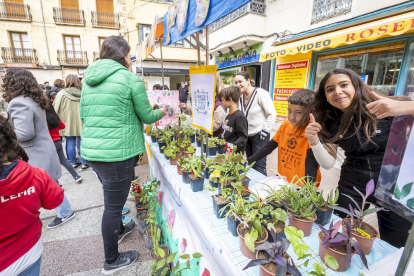 Una mañana llena de animación y aprendizaje en la Plaza de la Tarta