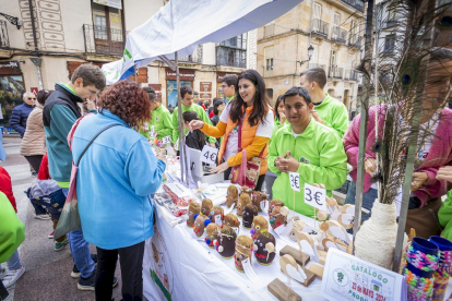 Una mañana llena de animación y aprendizaje en la Plaza de la Tarta