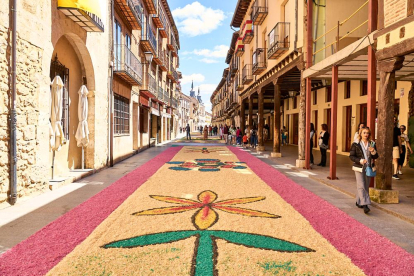 El Burgo de Osma volvió a vivir un Corpus Christi lleno de color y fervor con sus tradicionales alfombras florales.