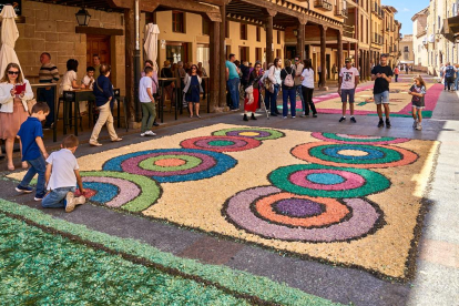 El Burgo de Osma volvió a vivir un Corpus Christi lleno de color y fervor con sus tradicionales alfombras florales.