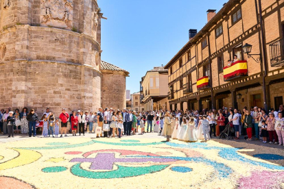 El Burgo de Osma volvió a vivir un Corpus Christi lleno de color y fervor con sus tradicionales alfombras florales.