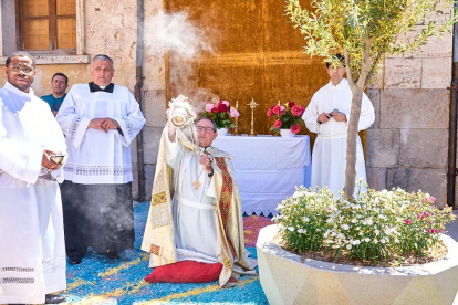 El Burgo de Osma volvió a vivir un Corpus Christi lleno de color y fervor con sus tradicionales alfombras florales.