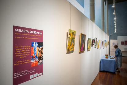Muestra artística y solidaria en el Palacio de la Audiencia de Soria