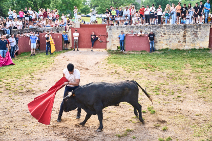 Soria celebra en Valonsadero La Compra 2024, el último acto previo a San Juan.