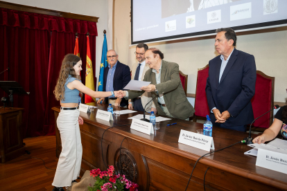 La Fundación Antonio Machado premia a 45 alumnos de diversas provincias por su implicación en difundir los valores mediambientales que recoge 'Campos de Castilla'.