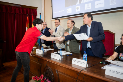 La Fundación Antonio Machado premia a 45 alumnos de diversas provincias por su implicación en difundir los valores mediambientales que recoge 'Campos de Castilla'.