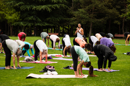 Personas haciendo yoga en la Dehesa este 22 de junio.