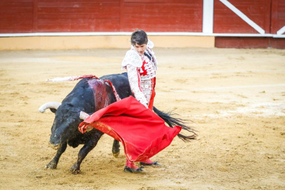 Castella, Manzanares y Rubén Sanz ponen el punto final en lo taurino a las fiestas de San Juan 2024.
