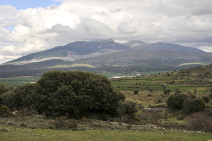 Moncayo.