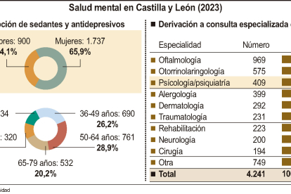 Cuadro sobre Salud mental en Castilla y León.