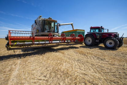 El consejero de Agricultura, Ganadería y Desarrollo Rural, Gerardo Dueñas, ha presentado este lunes la previsión de los datos de la cosecha de cereal de invierno.