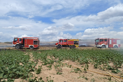 Motobombas en la zona del incendio.