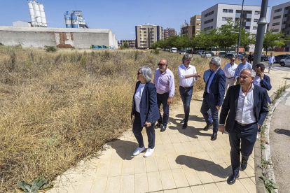 Visita a la parcela de Elio Antonio de Nebrija. - MARIO TEJEDOR