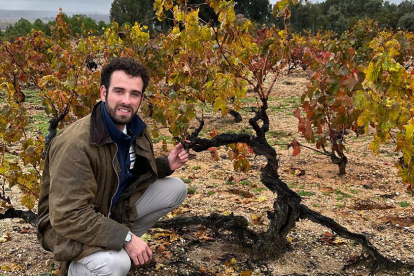 Antonio Serrano en los viñedos que posee en Villálvaro (Soria).