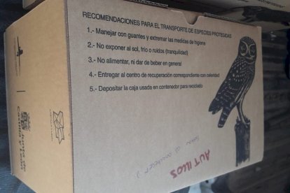 Los agentes medioambientales cuidaron hasta su recuperación a los animales