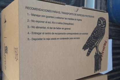 Los agentes medioambientales cuidaron hasta su recuperación a los animales