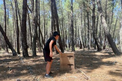 Los agentes medioambientales cuidaron hasta su recuperación a los animales