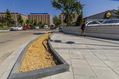 Las obras suponen un cambio trascendental en la fisonomía de la ciudad y su movilidad